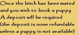 Once the bitch has been mated
and you wish to book a puppy
A deposit will be required
(the deposit is none refundable
unless a puppy is not available)