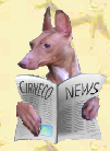 Cirneco dell'Etna - Cirneco News