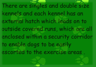 Dog Kennels in Welshpool