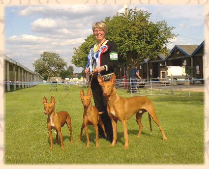 Jill with Neo, Tigger and Bridie