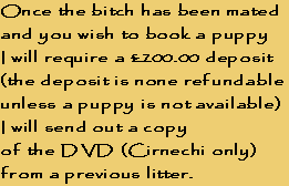 Once the bitch has been mated
and you wish to book a puppy
I will require a £200.00 deposit
(the deposit is none refundable
unless a puppy is not available)
I will send out a copy 
of the DVD (Cirnechi only) 
from a previous litter.