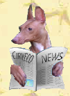Cirneco dell'Etna - Cirneco News