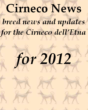 Cirneco dell'Etna news