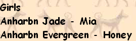 Girls
Anharbn Jade - Mia
Anharbn Evergreen - Honey