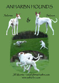 Anharbn adverts