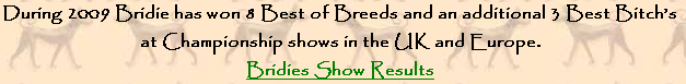 During 2009 Bridie has won 8 Best of Breeds and an additional 3 Best Bitch’s 
at Championship shows in the UK and Europe.
Bridies Show Results