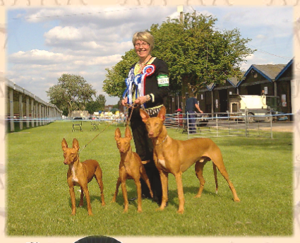 Jill with Neo, Tigger and Bridie