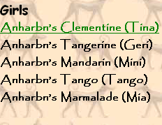 Girls
Anharbn’s Clementine (Tina)
Anharbn’s Tangerine (Geri)
Anharbn’s Mandarin (Mini)
Anharbn’s Tango (Tango)
Anharbn’s Marmalade (Mia)
