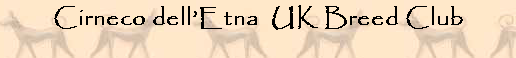 Cirneco dell Etna
