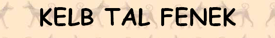 KELB TAL FENEK 