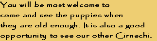 You will be most welcome to 
come and see the puppies when 
they are old enough. It is also a good 
opportunity to see our other Cirnechi.