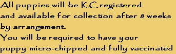 All puppies will be KC registered 
and available for collection after 8 weeks 
by arrangement.
You will be required to have your 
puppy micro-chipped and fully vaccinated