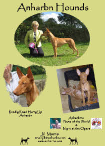 Anharbn adverts