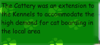 The Cattery was an extension to the Kennels to accommodate the high demand for cat boarding in the local area