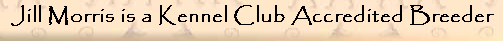 Jill Morris is a Kennel Club Accredited Breeder